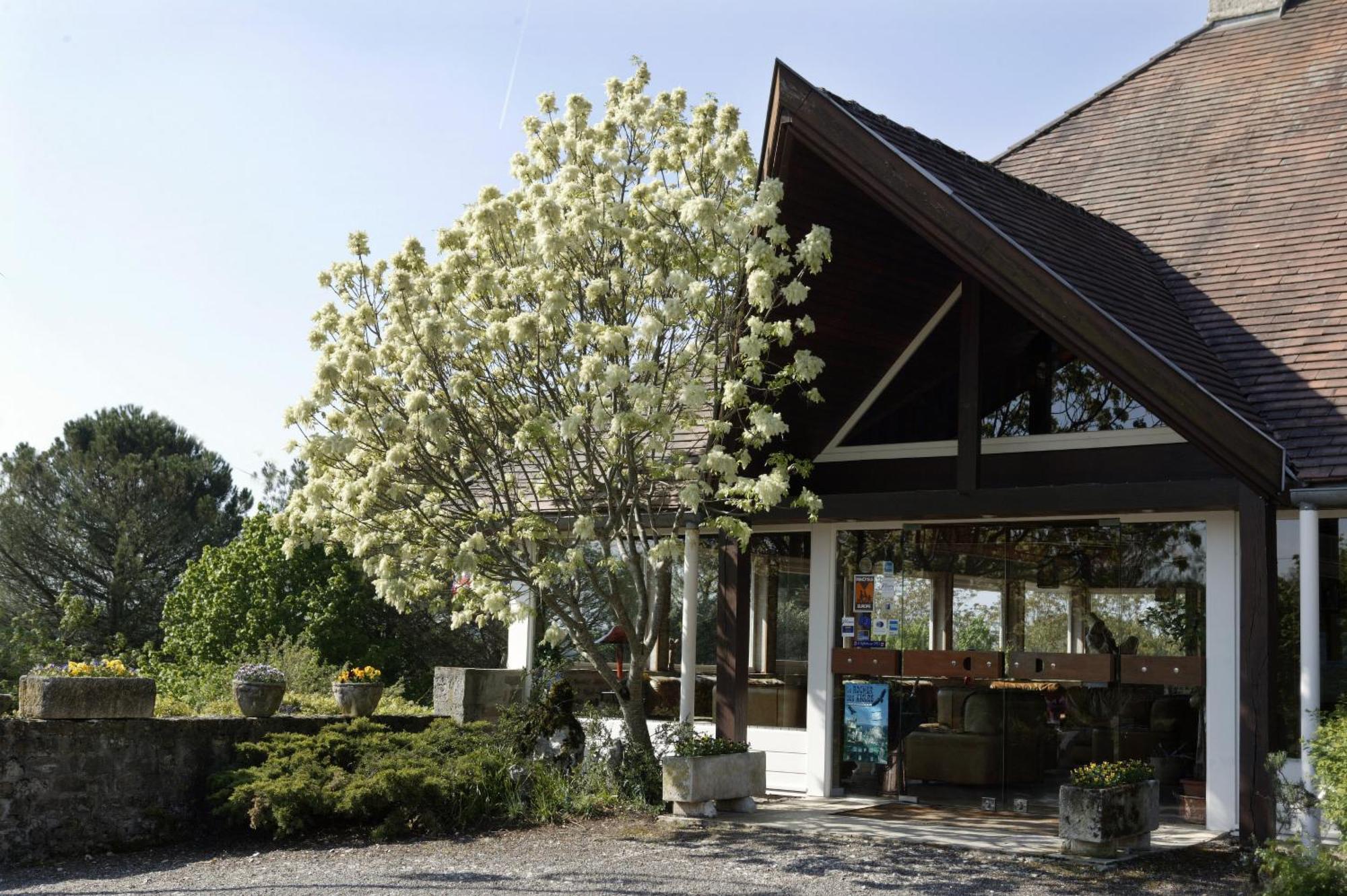 Hotel Restaurant Du Chateau Rocamadour Εξωτερικό φωτογραφία